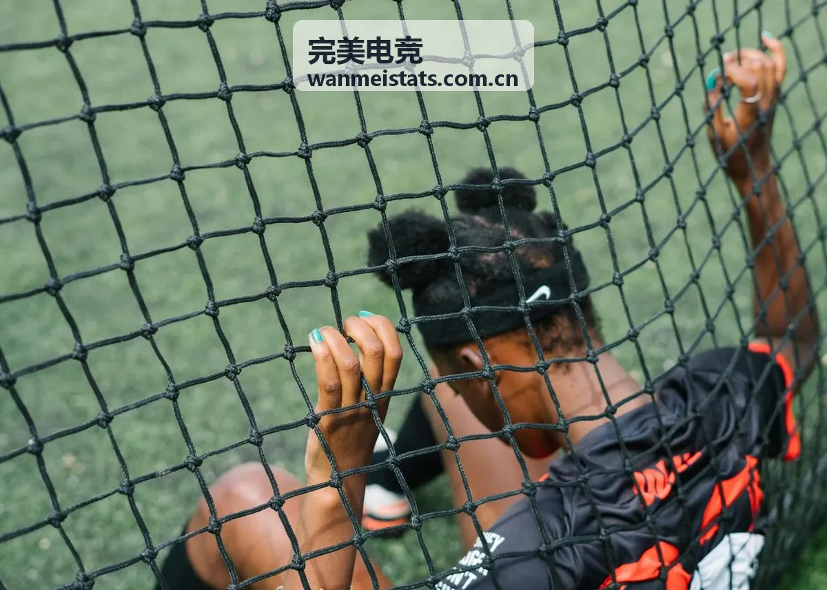 完美电竞赛事数据专题